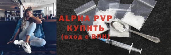 индика Зерноград