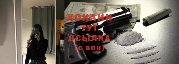 индика Зерноград