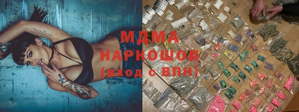 индика Зерноград