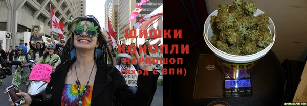 индика Зерноград