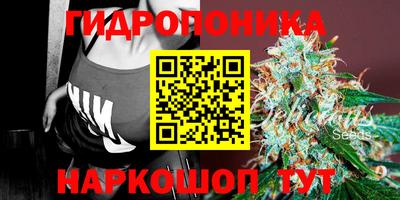 стафф Ливны