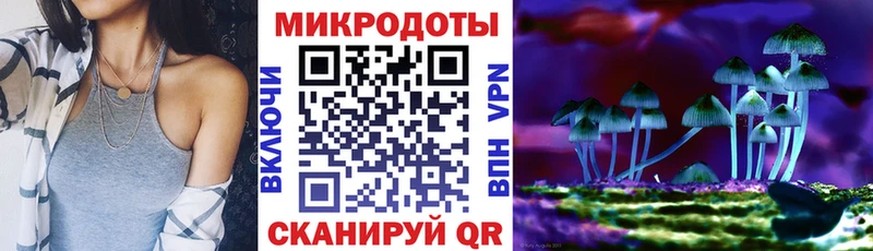 Псилоцибиновые грибы прущие грибы Губкинский