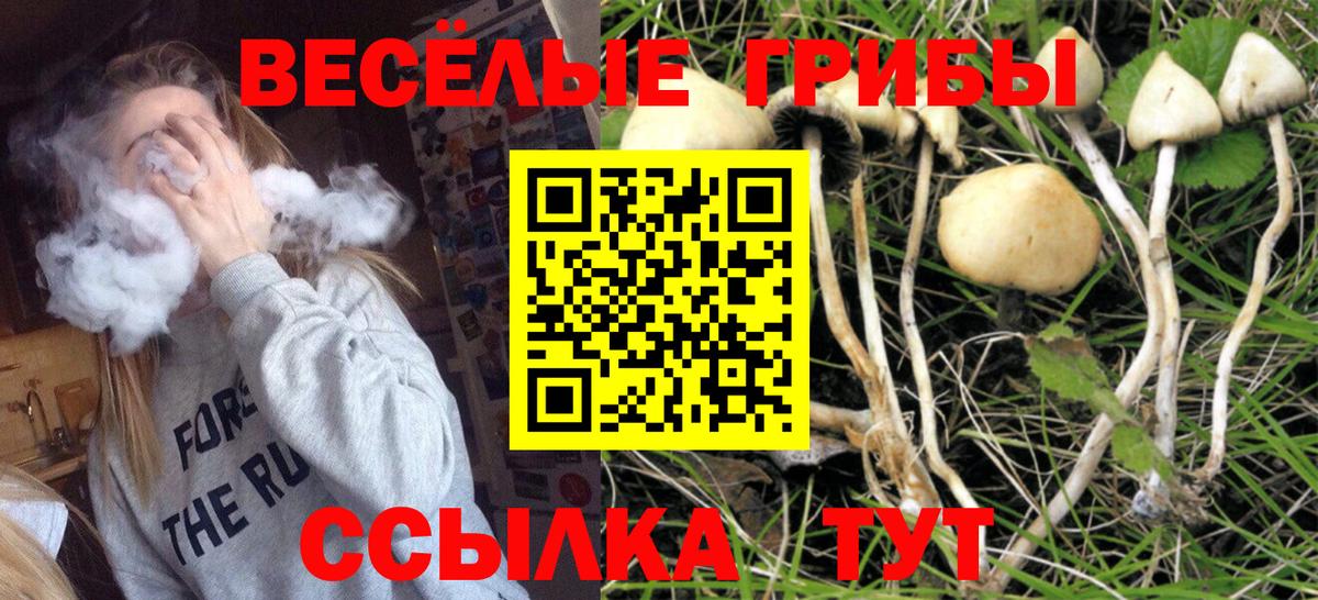 Галлюциногенные грибы мухоморы Губкинский