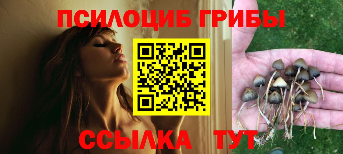Псилоцибиновые грибы Psilocybe  Вход с VPN  Губкинский 