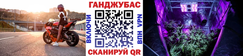 Каннабис SATIVA & INDICA  Губкинский 