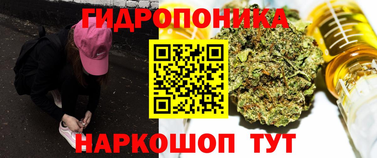 Марихуана конопля Губкинский
